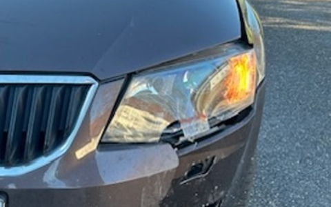 POL-PDLD: Edenkoben - Sekundenschlaf - Foto: presseportal.de