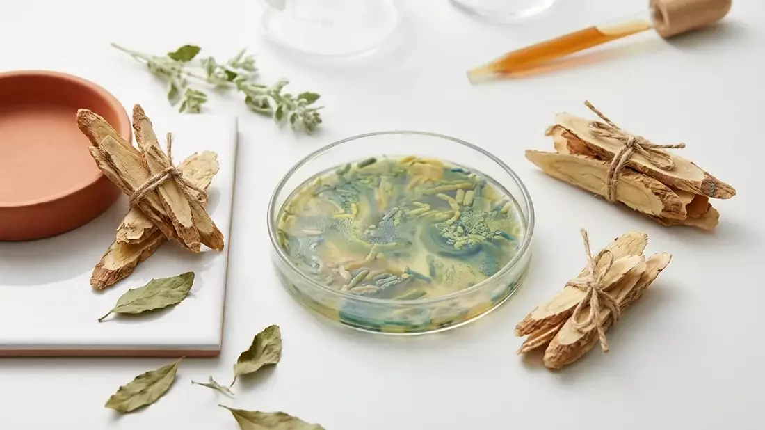 Darmgesundheit und TCM: Neue Hoffnung bei Depression und Adipositas - Bild: über boerse-global.de