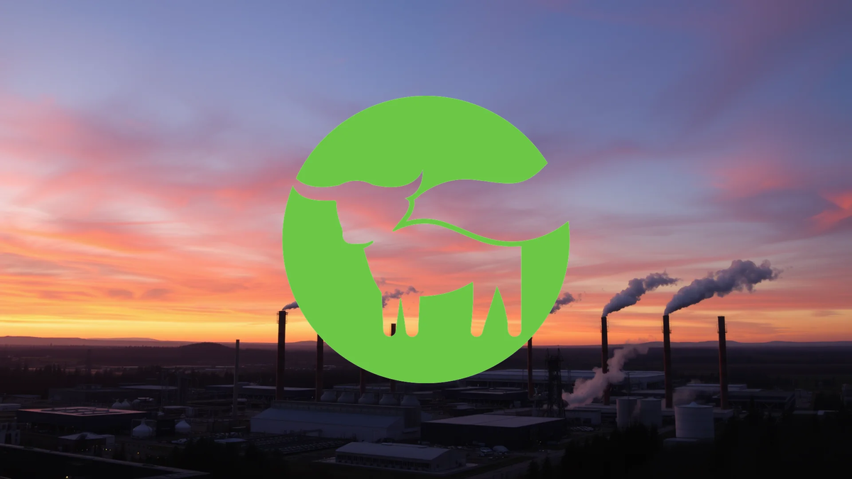 A Contrarian Call: Analysts Upgrade Beyond Meat Amid Legal and Financial Headwinds - Foto: über boerse-global.de