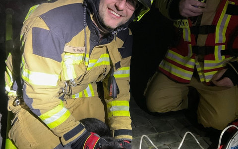 FW Alpen: Kellerbrand - Einsatzkräfte retten Katze - Foto: presseportal.de