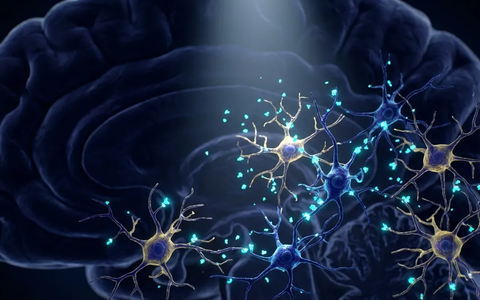 Alzheimer-Forschung setzt 2026 auf Nanobodies gegen CD33 - Foto: über boerse-global.de