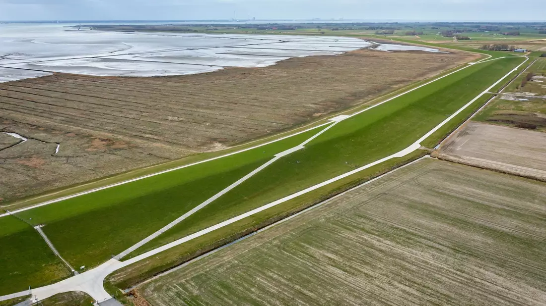 Die Situation im Wattenmeer ist einer Studie zufolge ernster als bisher angenommen. (Archivbild) - Bild: Sina Schuldt/dpa