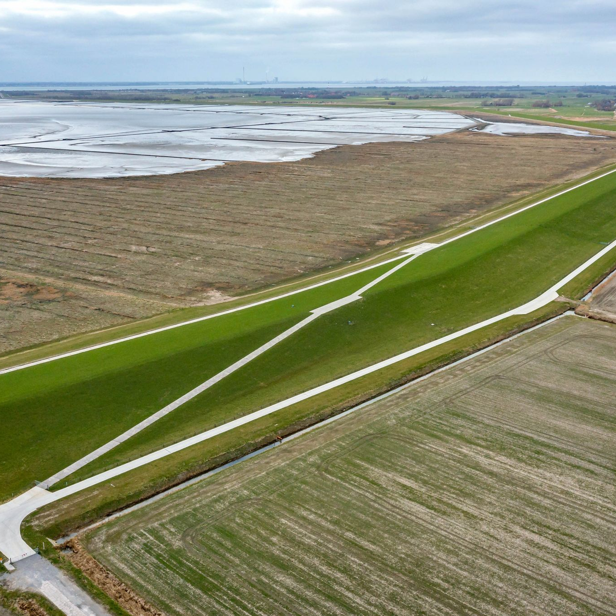 Die Situation im Wattenmeer ist einer Studie zufolge ernster als bisher angenommen. (Archivbild) - Foto: Sina Schuldt/dpa