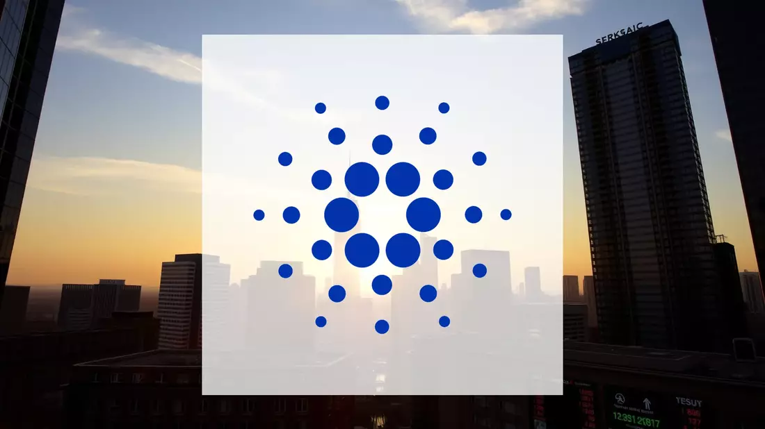 Cardano Faces a Pivotal Year After 2025’s Steep Decline - Bild: über boerse-global.de