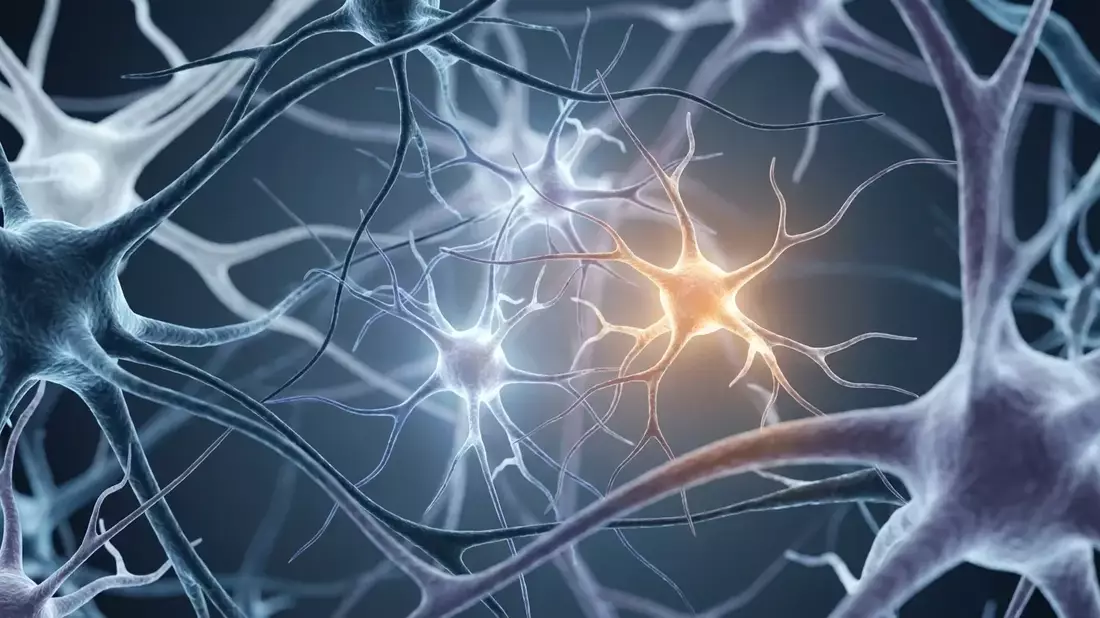 Alzheimer-Forschung: Entzündung als Schlüssel für Früherkennung - Bild: über boerse-global.de