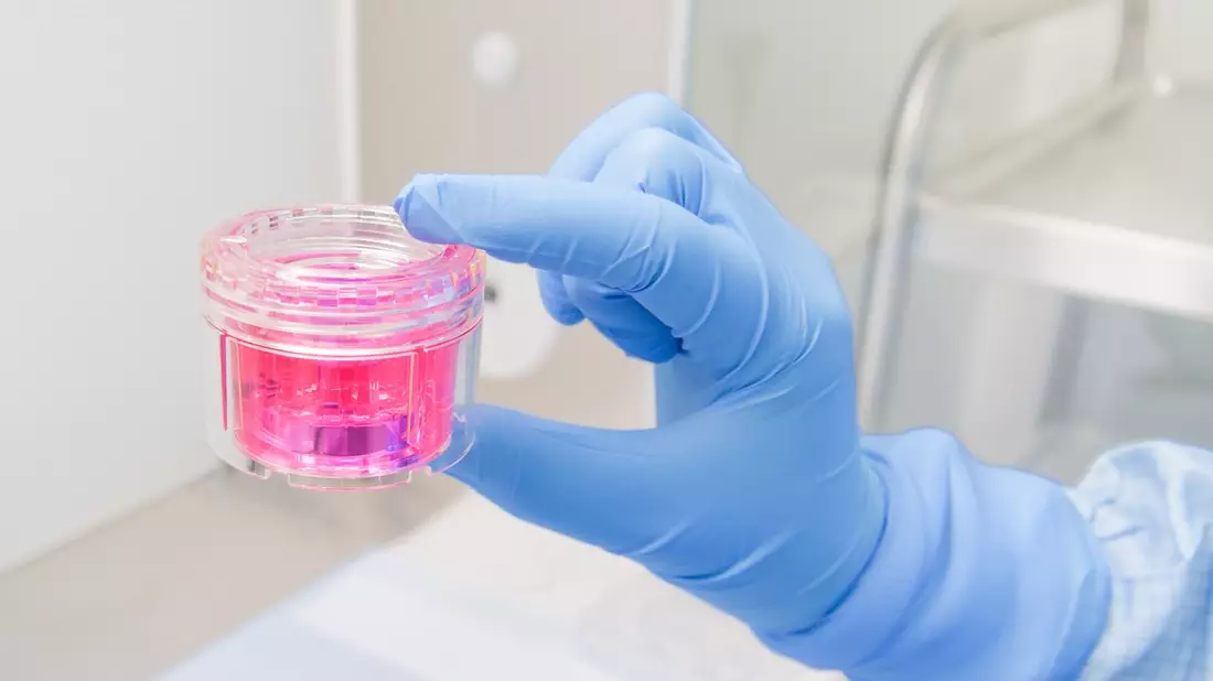 So viele Gewebespenden wie noch nie - eine Gemeinschaftsleistung! - Bild: presseportal.de