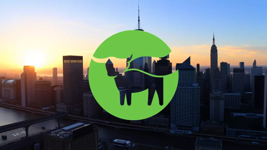 Beyond Meat’s Precarious Path: Equity Dilution and Mounting Financial Pressure - Bild: über boerse-global.de