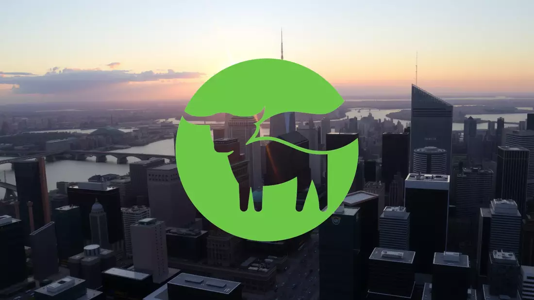 Beyond Meat: La sombra de la bancarrota se cierne sobre el fabricante de proteínas vegetales - Bild: über boerse-global.de