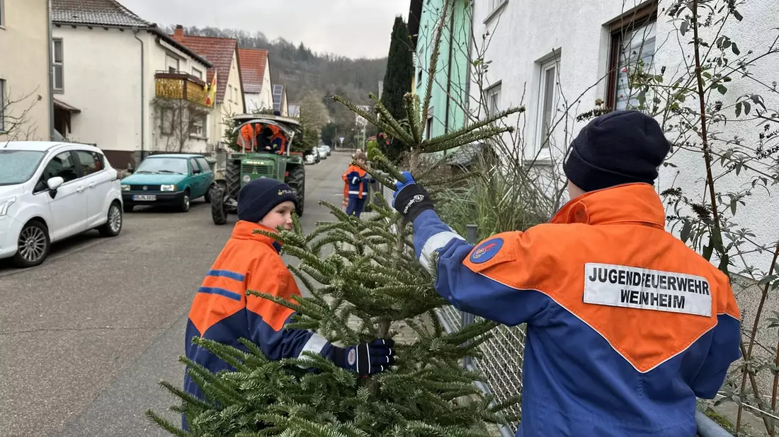FW Weinheim: Jugendfeuerwehr Weinheim sammelt wieder ausgediente Christbäume ein - Bild: presseportal.de
