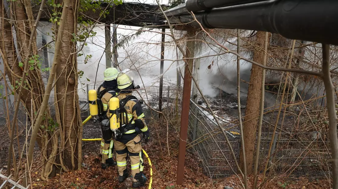 FW-E: Langwieriger Brandeinsatz in leerstehendem Schulgebäude - Feuerwehr bis in die Nacht im Einsatz - Bild: presseportal.de