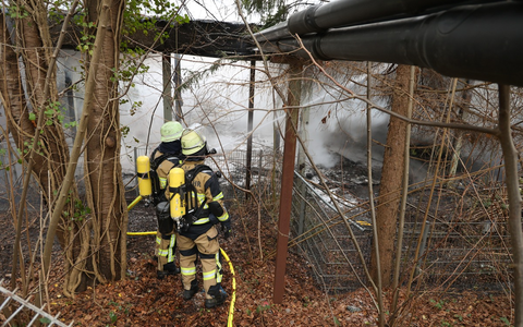 FW-E: Langwieriger Brandeinsatz in leerstehendem Schulgebäude - Feuerwehr bis in die Nacht im Einsatz - Foto: presseportal.de