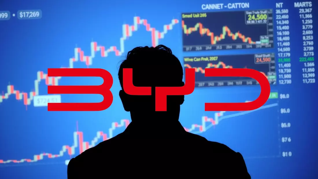 BYD’s Record Year: A Tale of Two Markets - Bild: über boerse-global.de
