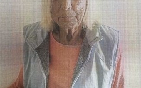 POL-WI-KvD: +++83-jährige Frau aus Wiesbaden vermisst+++ - Foto: presseportal.de