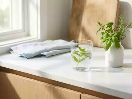 Don't Tox: Der neue Lifestyle setzt auf Vermeidung statt Verzicht - Foto: über boerse-global.de