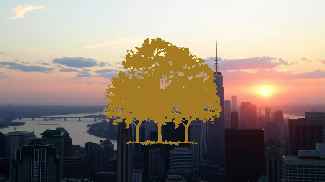 Canopy Growth Executives Sell Shares Following Volatile Price Action - Bild: über boerse-global.de