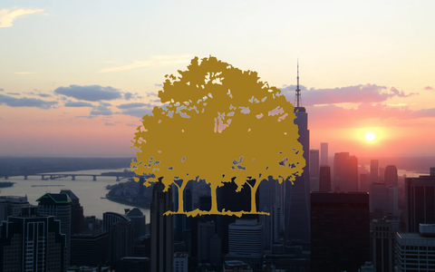 Canopy Growth Executives Sell Shares Following Volatile Price Action - Foto: über boerse-global.de