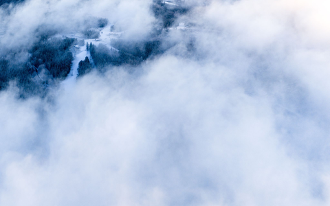 Weiß ist nach Ansicht der amerikanischen Farbinstitution Pantone die «Farbe des Jahres 2026». (Symbolbild) - Foto: Christoph Reichwein/dpa