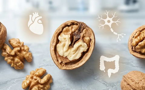 Walnuss wird zum Superfood-Star 2026 - Foto: über boerse-global.de