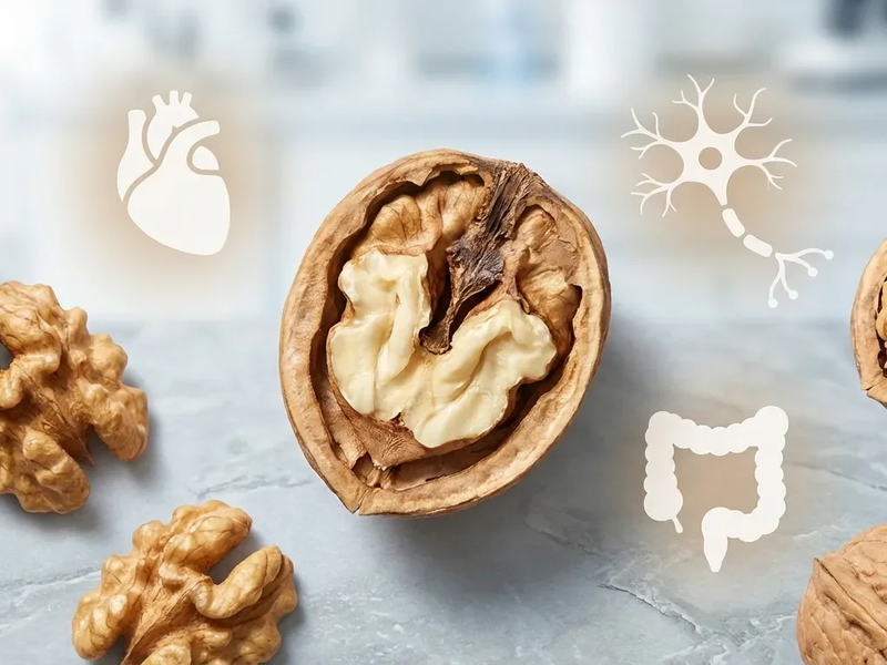 Walnuss wird zum Superfood-Star 2026 - Foto: über boerse-global.de