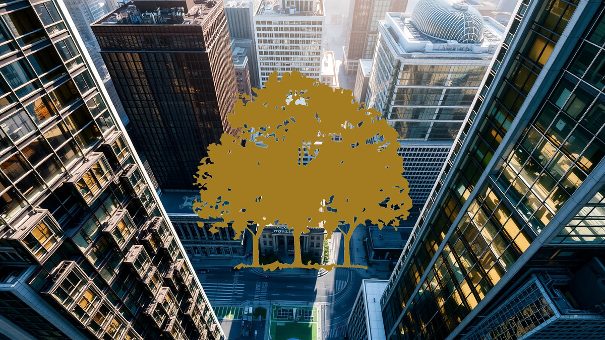 Canopy Growth Shares: A Tale of Conflicting Indicators - Foto: über boerse-global.de