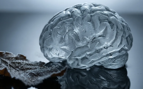 Biowetter belastet Konzentration und Stimmung - Foto: über boerse-global.de