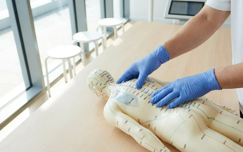 Wiener TCM-Schule startet neue Schmerztherapie-Ausbildung - Foto: über boerse-global.de