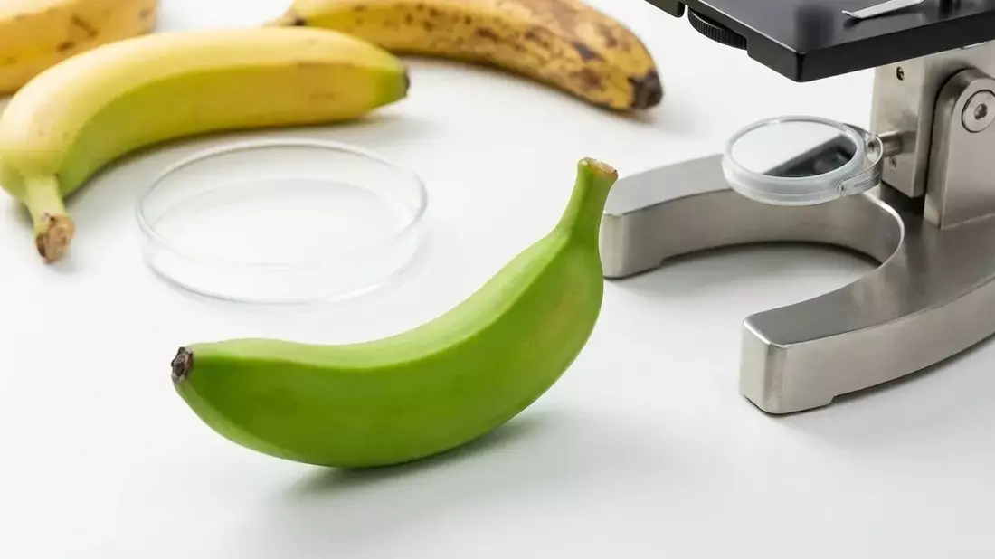 Banane: Ihr Reifegrad entscheidet über die Wirkung im Körper - Bild: über boerse-global.de