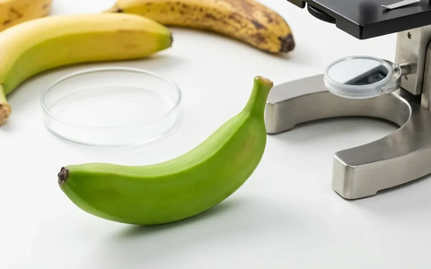 Banane: Ihr Reifegrad entscheidet über die Wirkung im Körper - Foto: über boerse-global.de