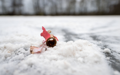  Im Dezember waren sich die Innenminister von Bund und Ländern bei einem Treffen in Bremen nicht einig über ein Böllerverbot geworden. (Archivfoto) - Foto: Pia Bayer/dpa