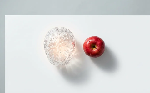 Neuro-Hacks: So trickst du dein Gehirn beim Abnehmen aus - Foto: über boerse-global.de