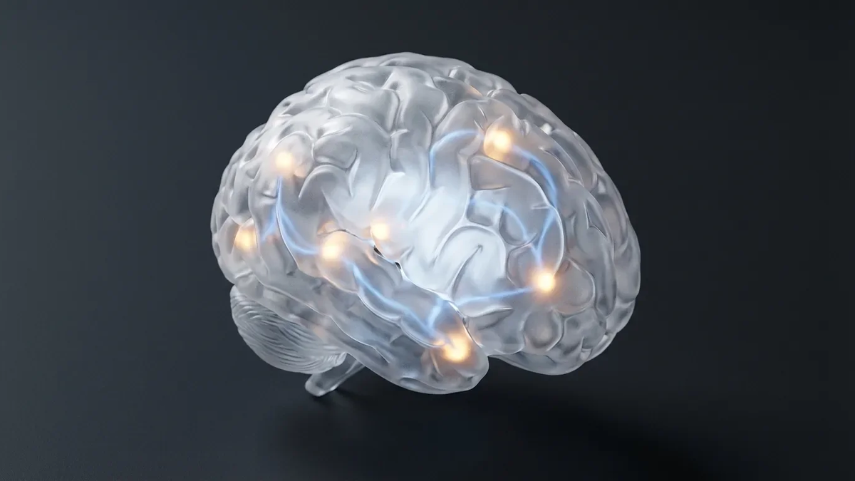 Gehirnentwicklung: Neue Studie definiert vier Wendepunkte bis 80+ - Foto: über boerse-global.de