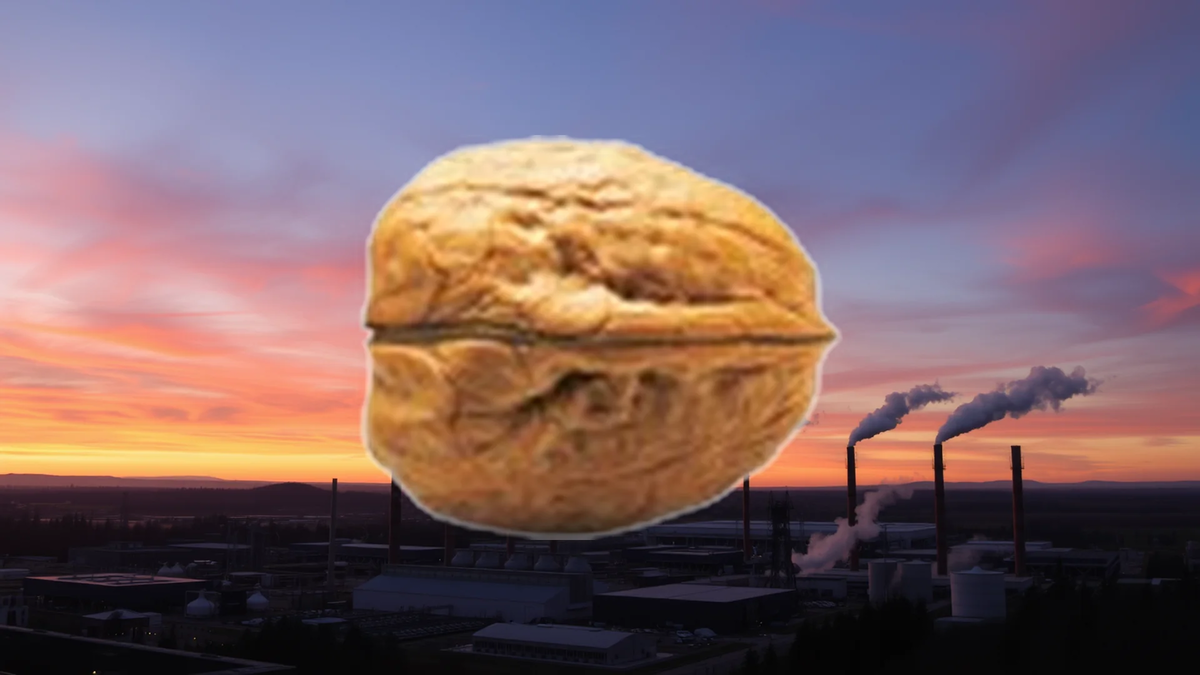 PSI Software Aktie: Dynamische Marktbedingungen - Foto: über boerse-global.de