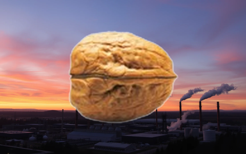 PSI Software Aktie: Dynamische Marktbedingungen - Foto: über boerse-global.de