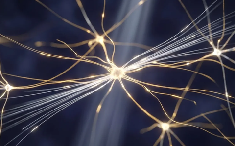 Gehirnforschung erklärt, warum Neujahrsvorsätze scheitern - Foto: über boerse-global.de