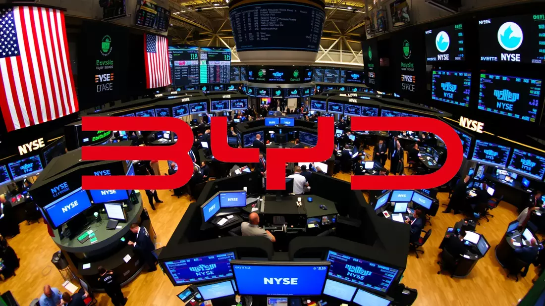 BYD Overtakes Tesla to Claim Top Spot in Global EV Sales - Bild: über boerse-global.de