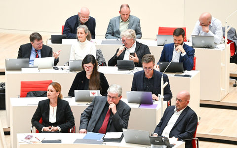 Die BSW-Landtagsfraktion berät über die Zukunft der Koalition (Archivbild) - Foto: Jens Kalaene/dpa