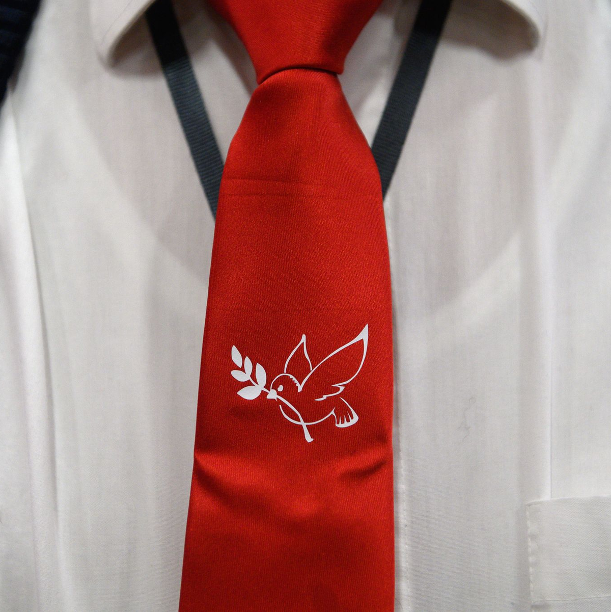 Das BSW hat weiter enthusiastische Fans. (Archivfoto) - Foto: Klaus-Dietmar Gabbert/dpa