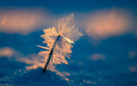 Eisige Temperaturen können für Menschen ohne Wohnung lebensgefährlich sein.  - Foto: Patrick Pleul/dpa