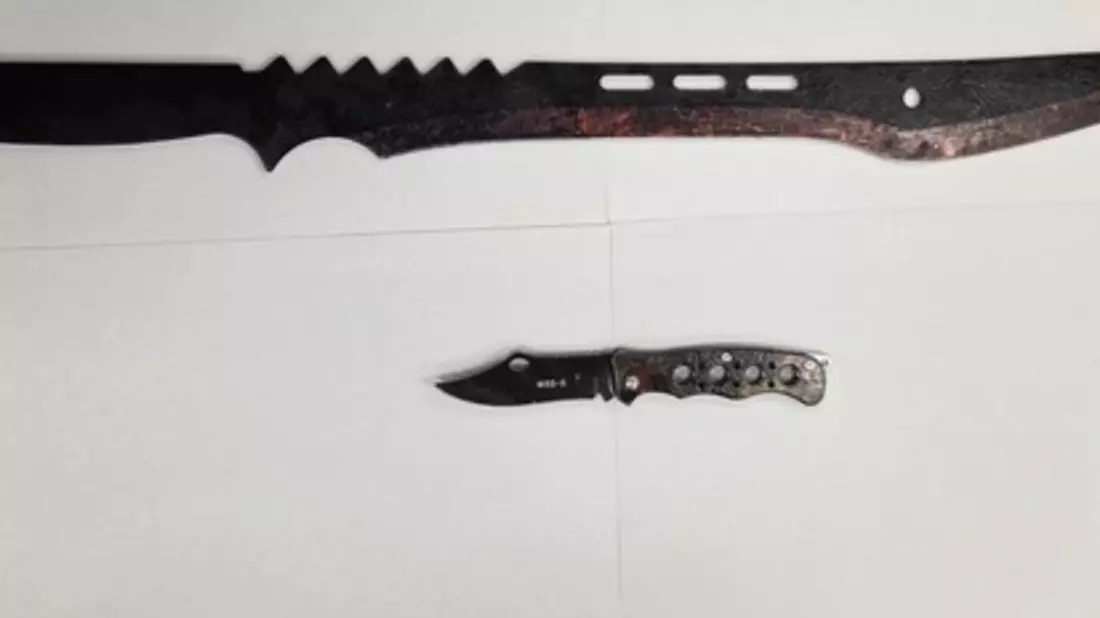 BPOL-FL: NMS - Jugendliche mit Messer und Machete im Bahnhof angetroffen - Bild: presseportal.de