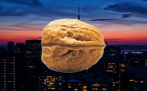 PSI Software Aktie: Problematische Tendenzen? - Foto: über boerse-global.de