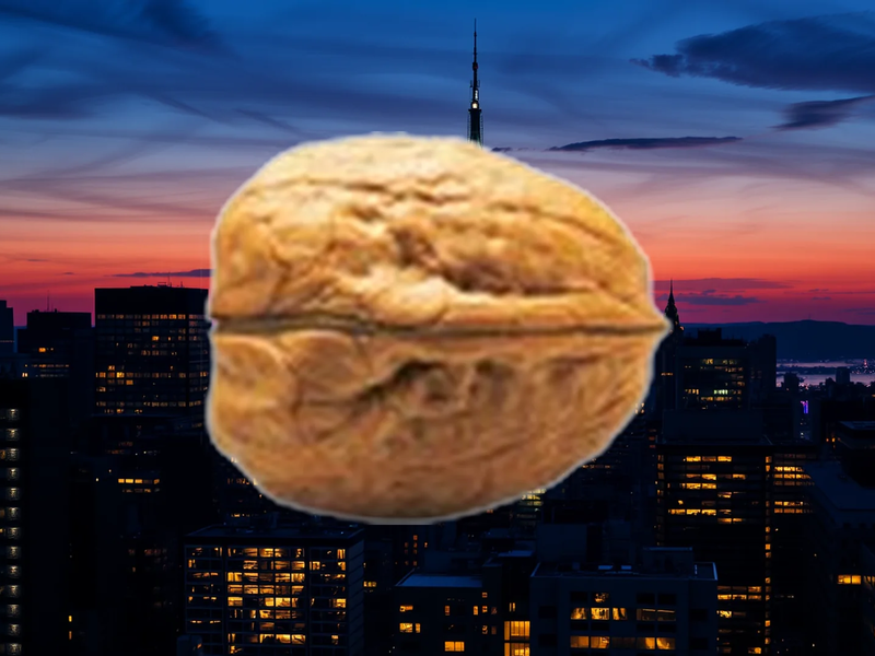 PSI Software Aktie: Problematische Tendenzen? - Foto: über boerse-global.de