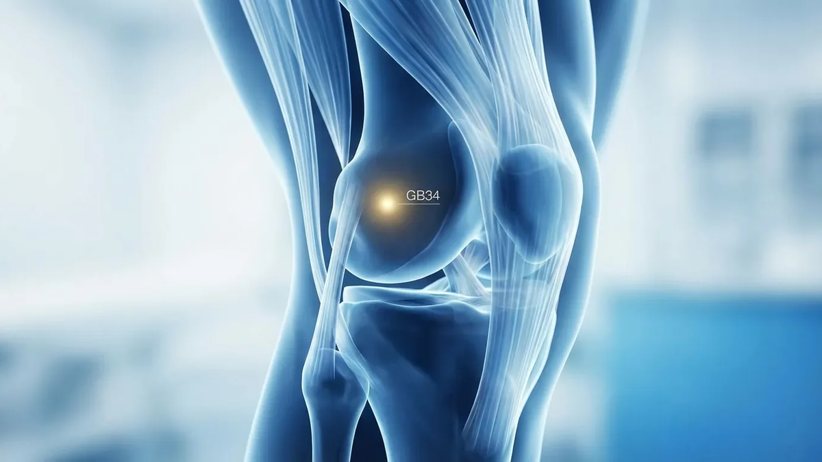 Akupressur-Punkt GB34: Biologischer Wirkmechanismus gegen Sehnenleiden entschlüsselt - Foto: über boerse-global.de