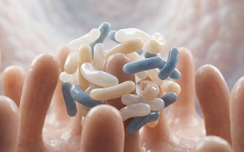 Probiotika lindern Heuschnupfen – neue Studien belegen Wirkung - Foto: über boerse-global.de