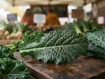 Kohl feiert Comeback als heimisches Superfood - Foto: über boerse-global.de