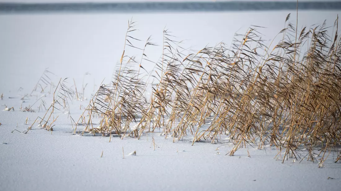 Ab der Nacht auf Freitag bestimmt das Sturmtief «Elli» das Wetter zum Großteil in Deutschland. - Bild: Philip Dulian/dpa