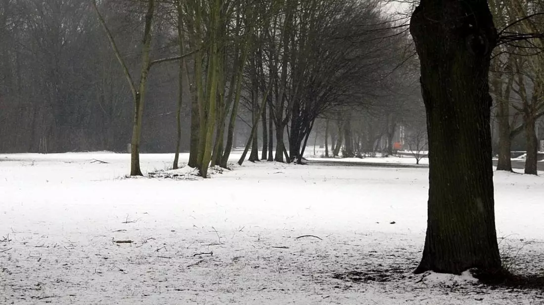 Winterlandschaft (Archiv) - Bild: via dts Nachrichtenagentur