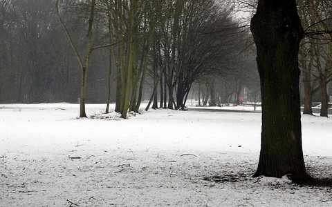 Winterlandschaft (Archiv) - Foto: via dts Nachrichtenagentur