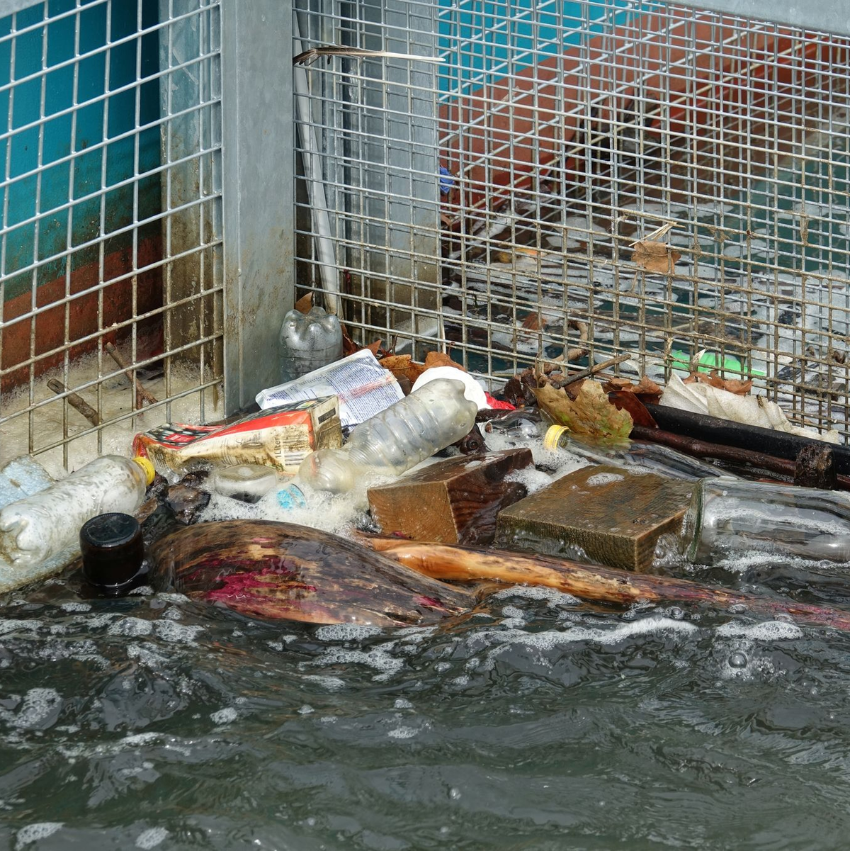 Müll hat sich in den beiden Körben der Müllfalle «RheinKrake» verfangen. (Handout) - Foto: Leandra Hamann/Nature/dpa