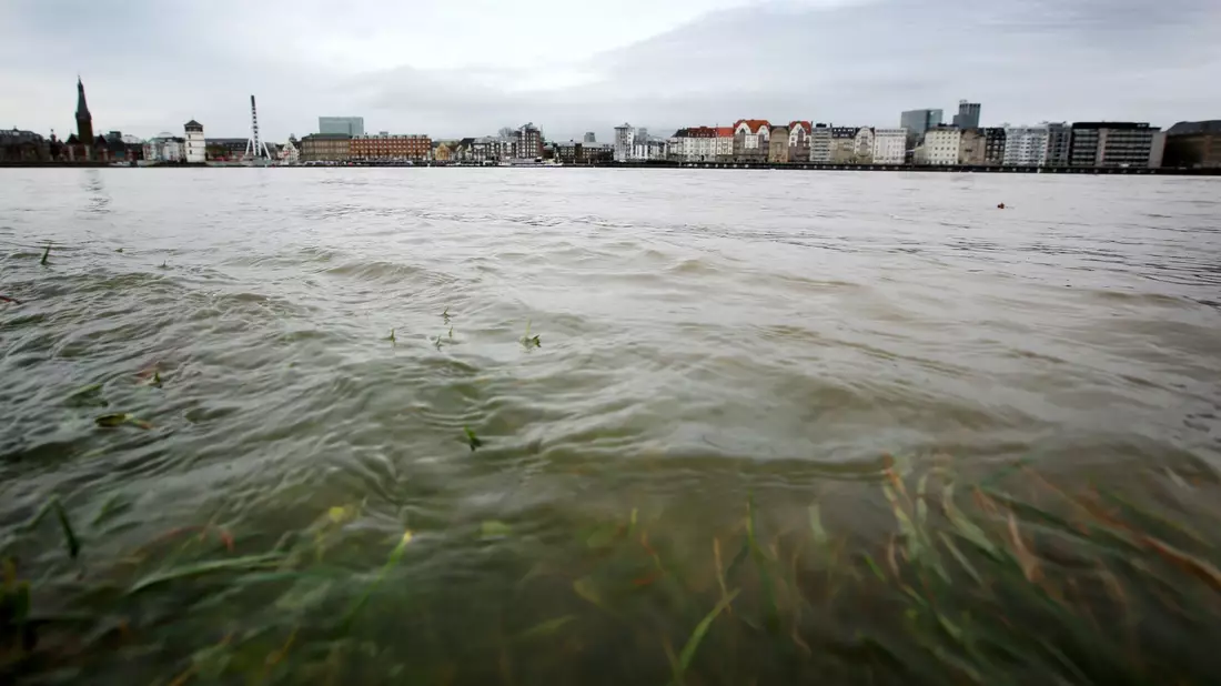 Im Rhein schwimmt mehr Müll als angenommen. (Archivbild). - Bild: Martin Gerten/dpa