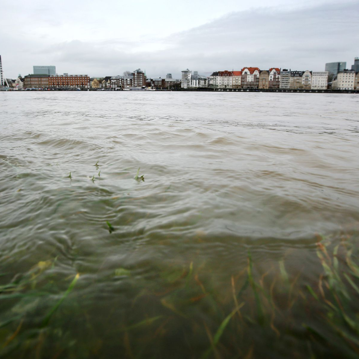 Im Rhein schwimmt mehr Müll als angenommen. (Archivbild). - Foto: Martin Gerten/dpa